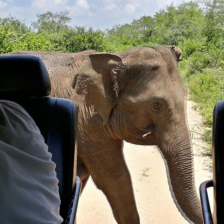 Hotel Big Game Udawalawe - By Eco Team Esterno foto
