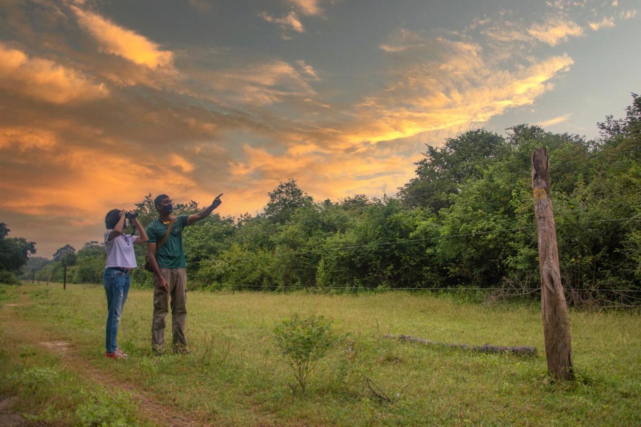 Hotel Big Game Udawalawe - By Eco Team Esterno foto
