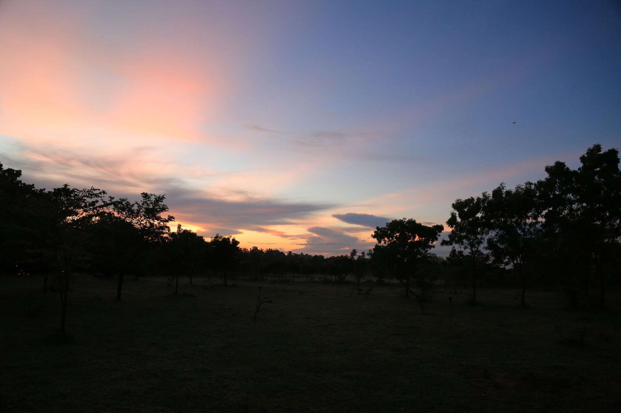 Hotel Big Game Udawalawe - By Eco Team Esterno foto